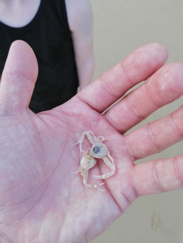 Константин Завацкий | Красноярск