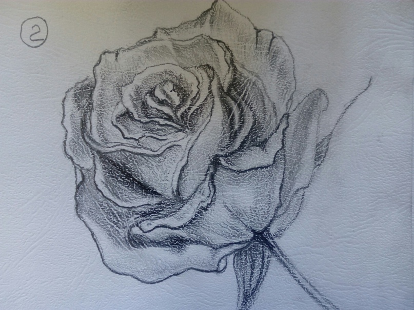 Ирина Ларионова | Санкт-Петербург