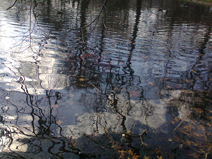 Инна Лившиц | Санкт-Петербург