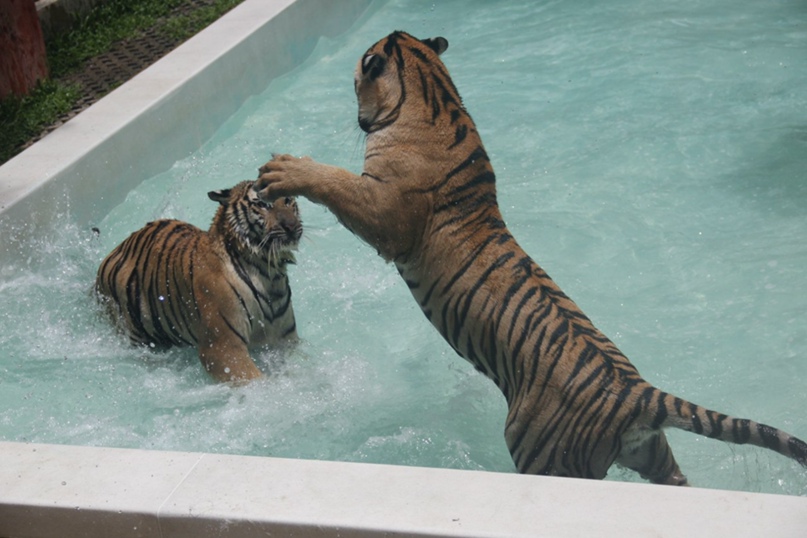 Николай Чудов Александрович | Москва