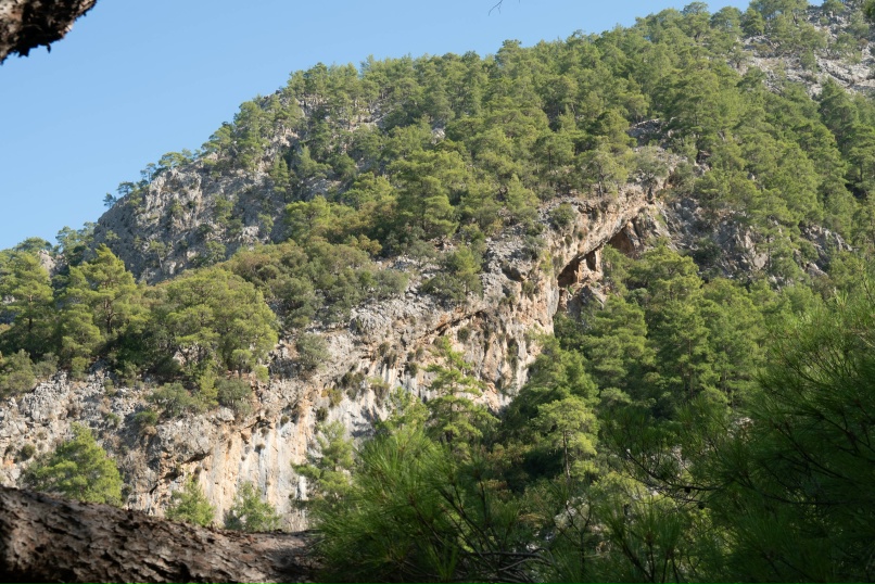 Семен Макаров | Москва