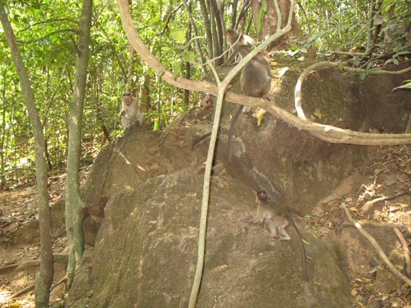 Сергей Кунгуров | Москва