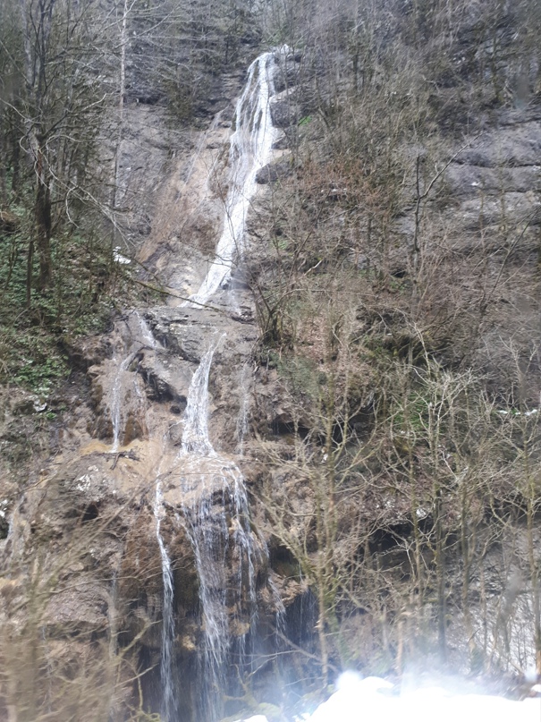 Светлана Калашникова |