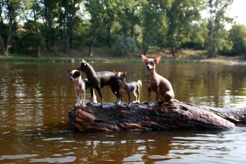 Ирина Митрофанова | Кропивницкий / Кировоград