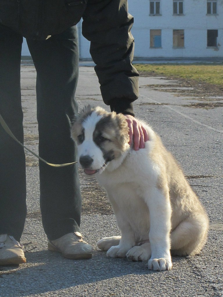 Роман Кузьмичев | Ростов-на-Дону