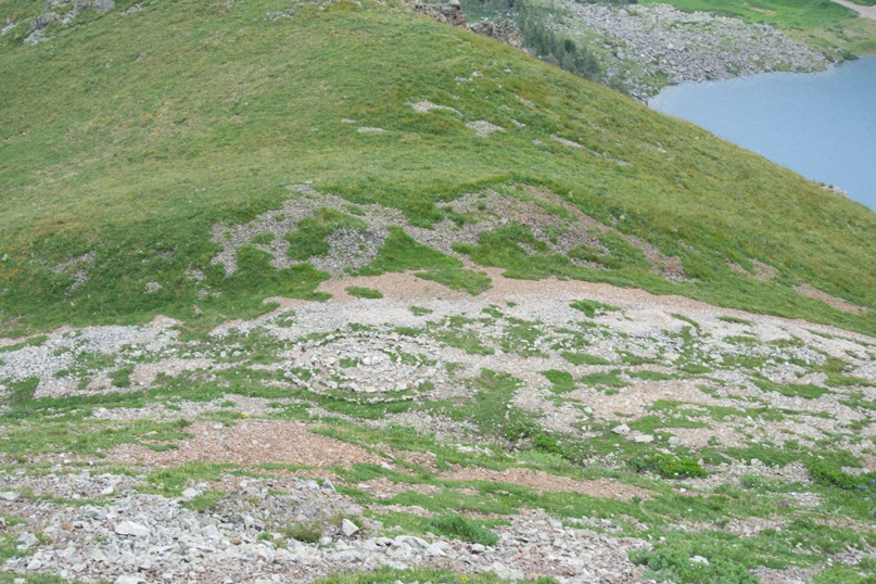 Иван Гущин ❤ | Риддер