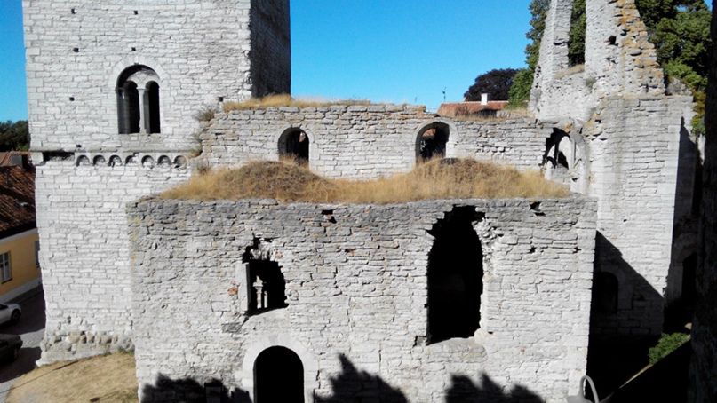 Сергей Шарыгин | Санкт-Петербург