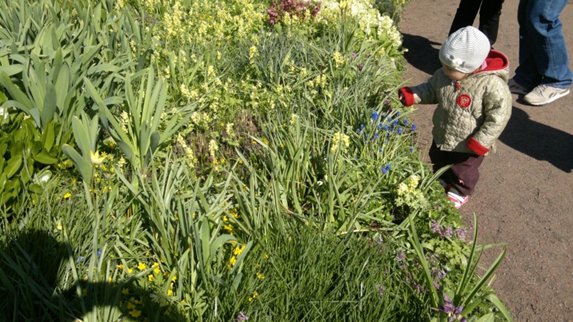 Игорь Николаевич Ga | Санкт-Петербург