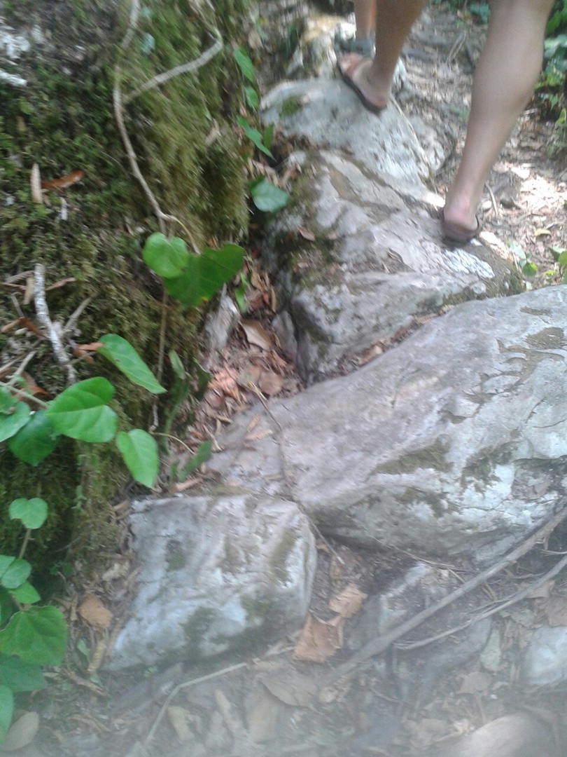 Татьяна Татарникова | Санкт-Петербург