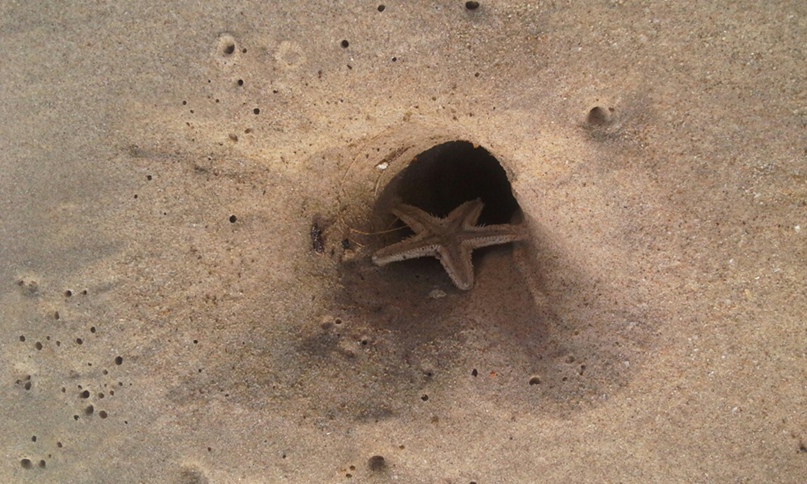 Марина Титова | Барнаул