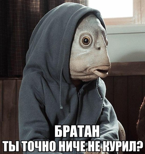 Сергей Соловьев | Москва