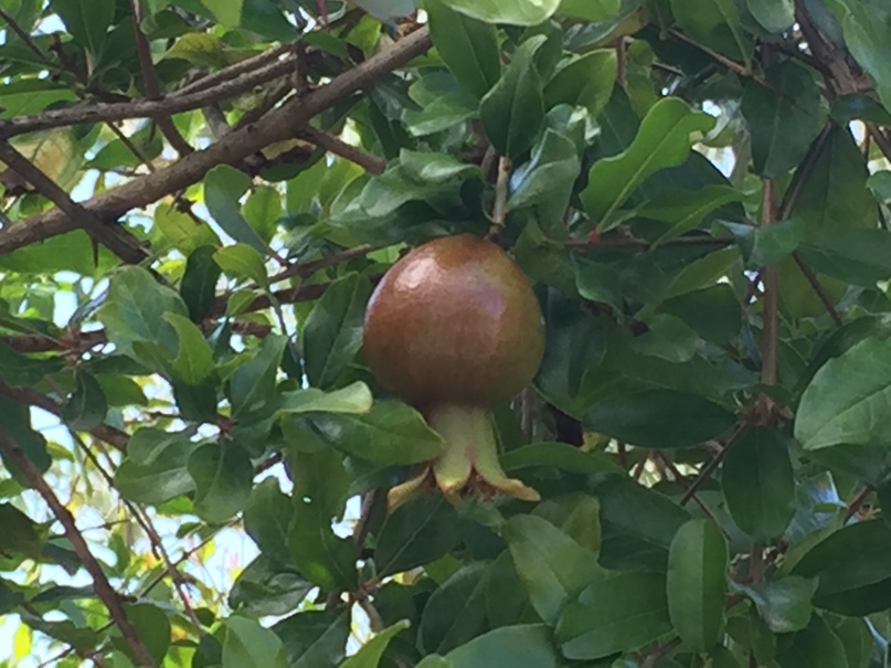 Наталия Силаева | Одинцово