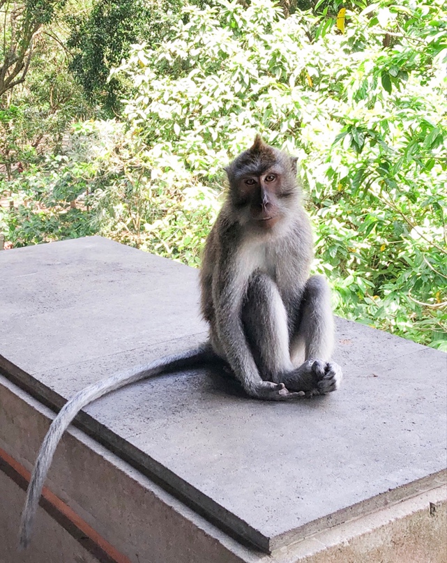 Александра Журова | Новосибирск