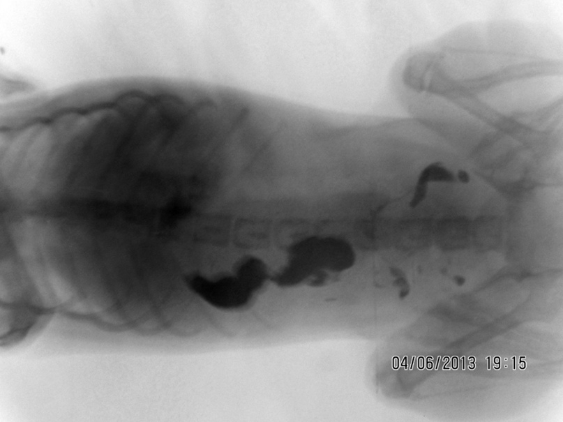 Антон Еременко | Kraków