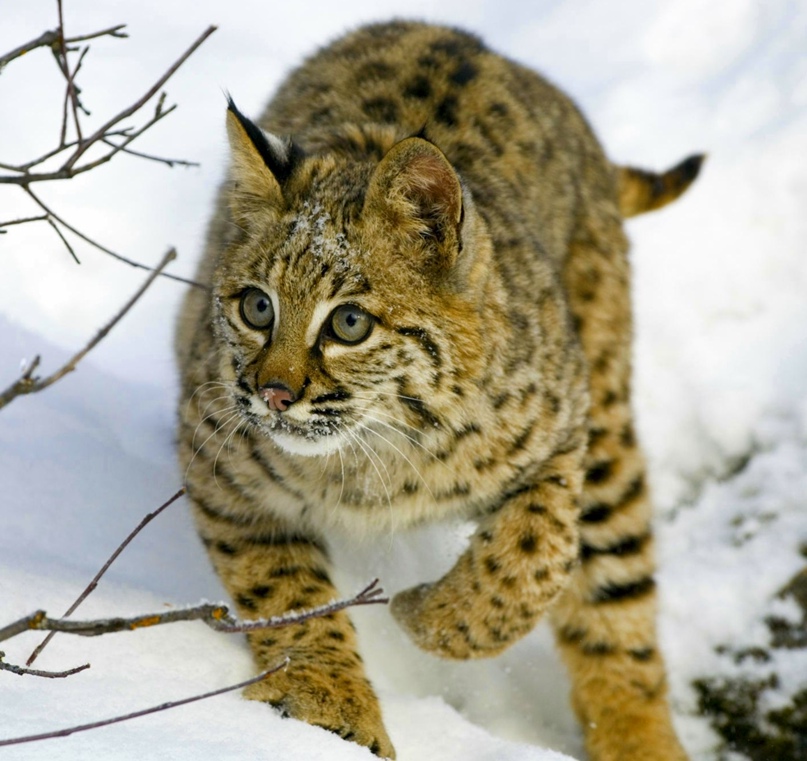 Олег Тараскин | Москва