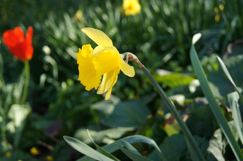 Татьяна Шелухина | Москва