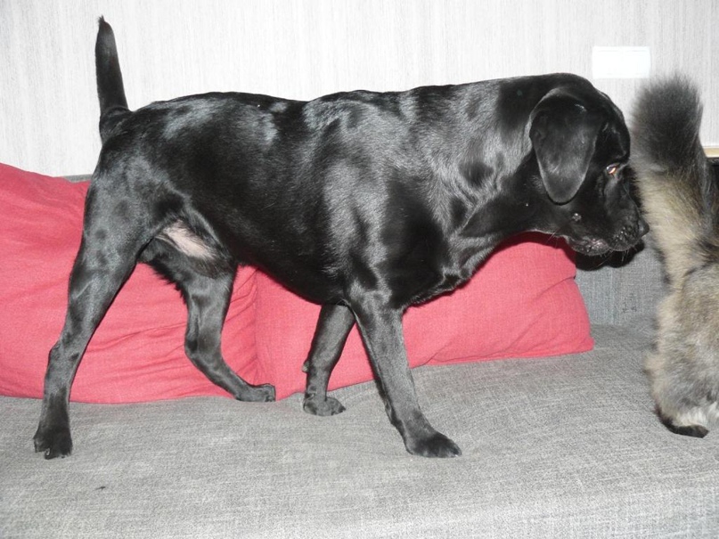 Екатерина Крапивина | Харьков