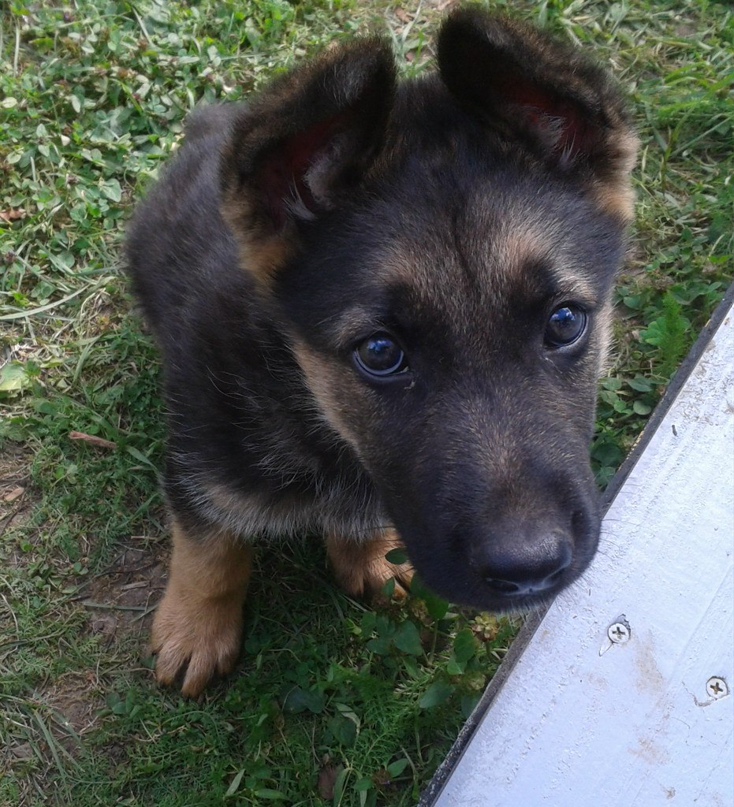 Ольга Захаревич | Минск