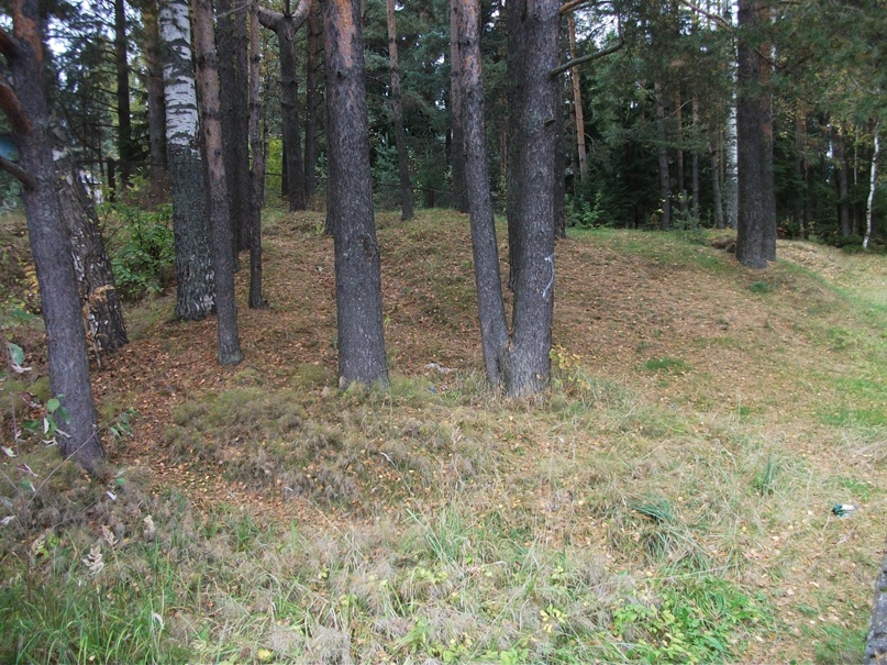 Илья Демиденко | Вырица