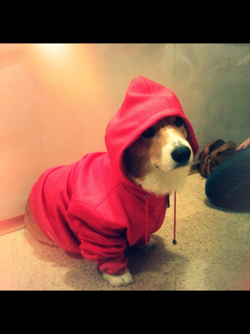 Евгения Еромченко | Тюмень