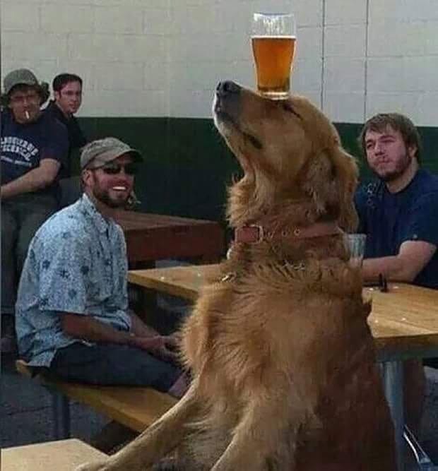 Валера Павлов | Fyandale