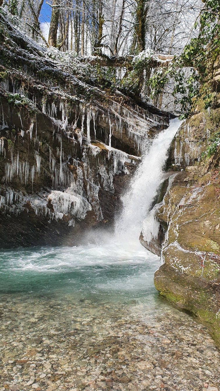 Александр Виноградов | Череповец