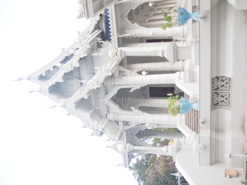 Анна Левичева | Москва