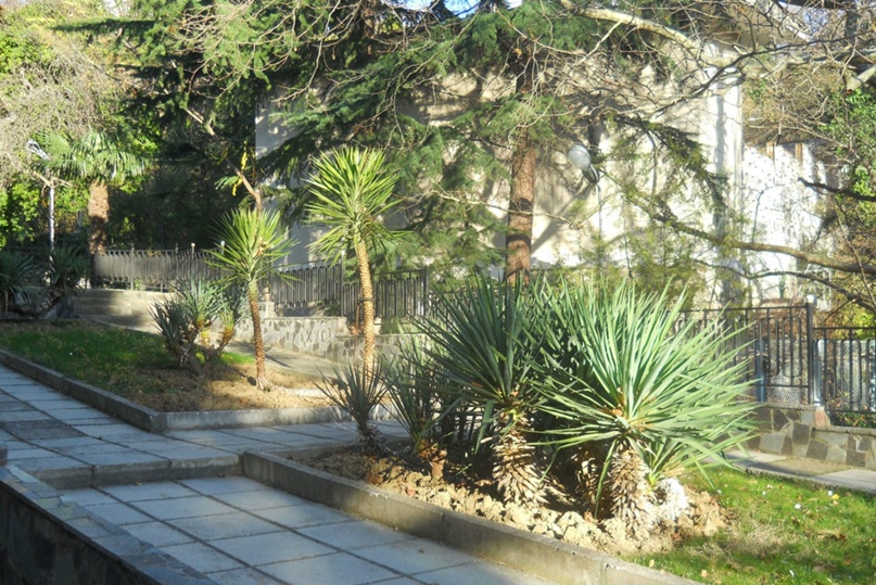 Михаил Полянин | Калининград