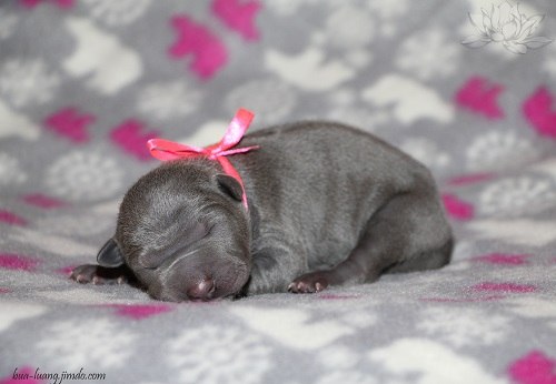 Наталья Евсикова | Москва