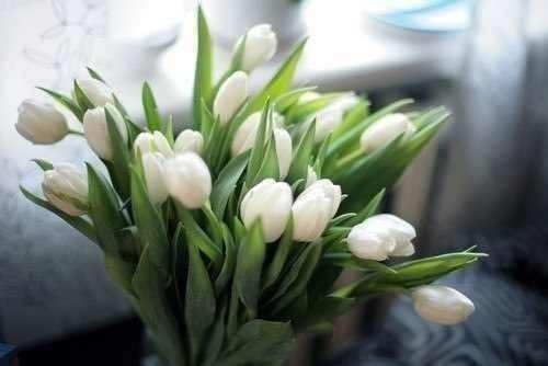 Маргарита Коваленко | Клайпеда