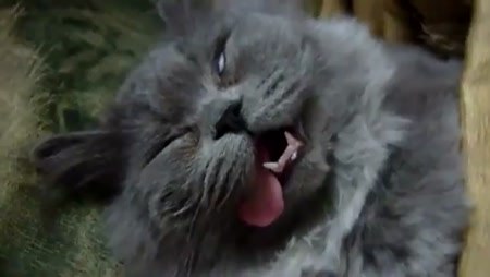 Светлана Ратникова | Самара