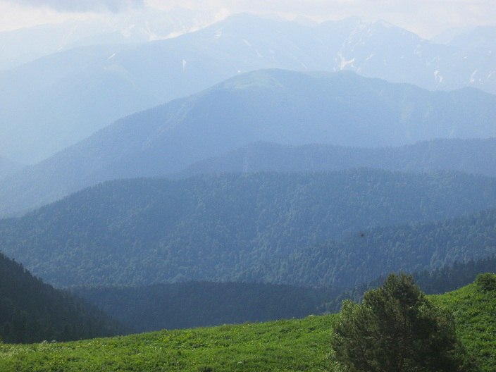 Андрей Муханов | Новороссийск