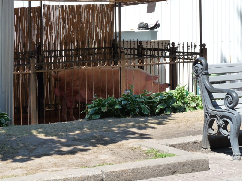 Алексей Елизаров | Иркутск