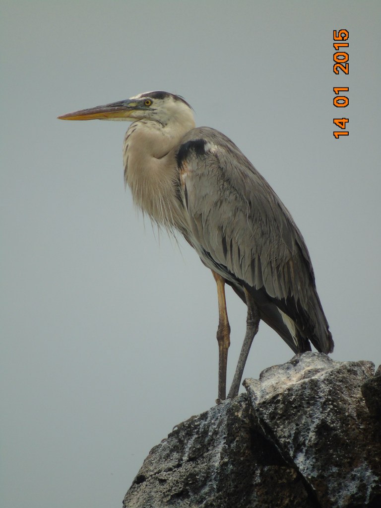 Екатерина Глазкова | Москва
