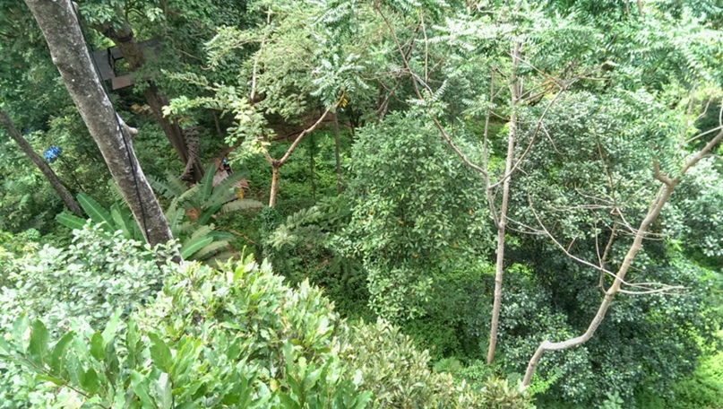 Евгений Кондратьев | Химки