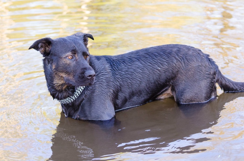 Андрей Кудрявцев | Гатчина