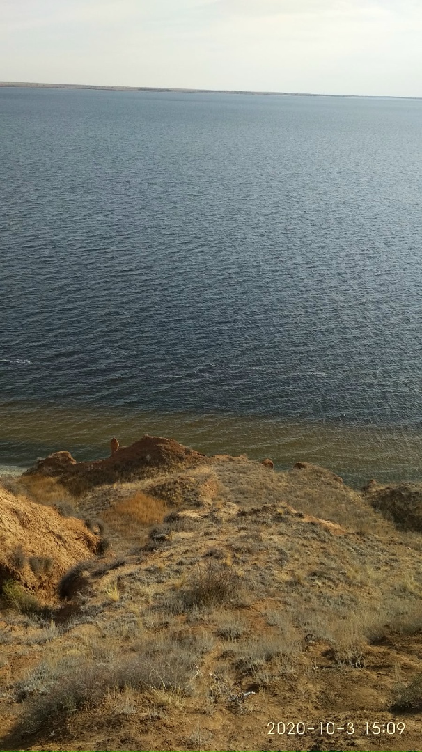 Антон Чирков | Волгоград