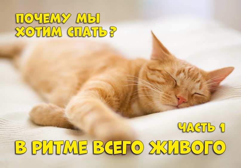 Борис Азаров |