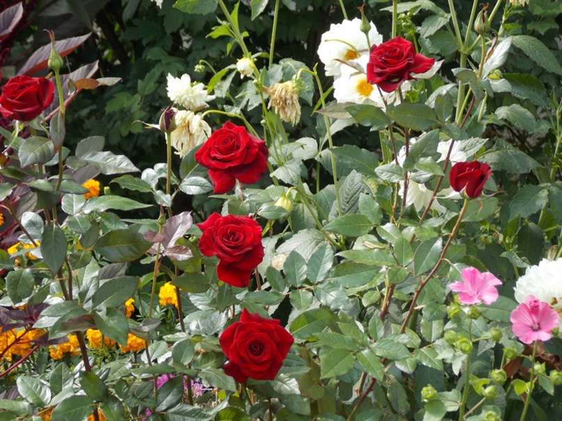 Татьяна Гладышева | Челябинск