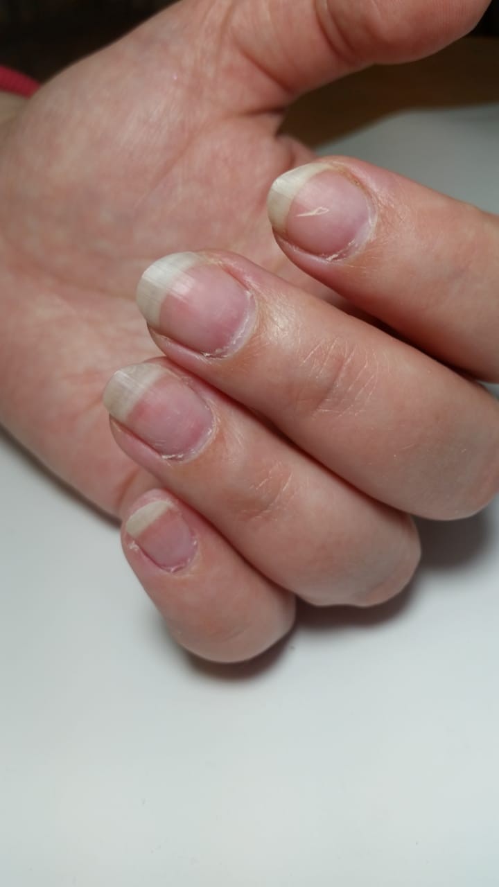 Дарья Голенкова | Новосибирск