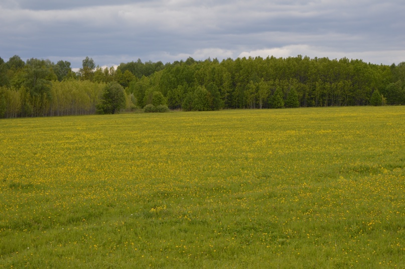 Михаил Коваленко | Оренбург