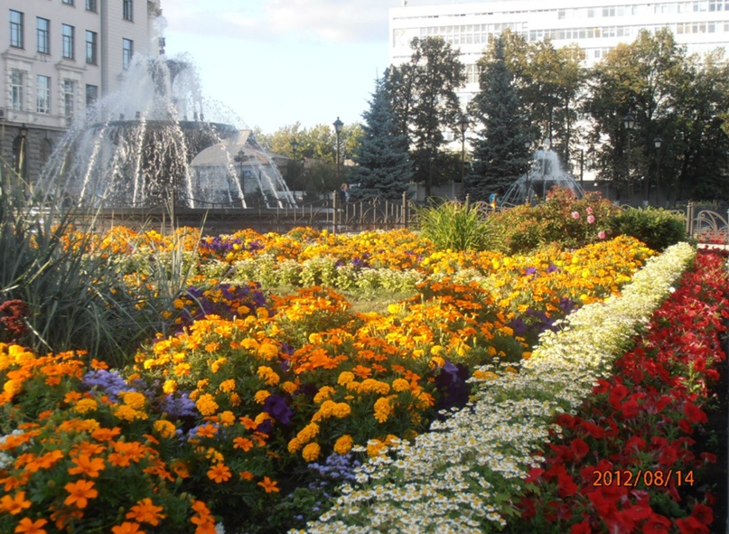 Наталья Мартынова | Екатеринбург