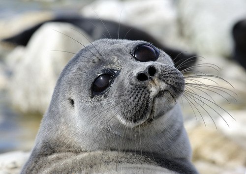 Татьяна Мамаева | Санкт-Петербург
