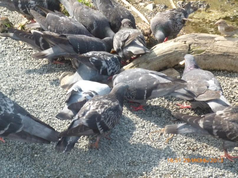 Мария Агапитова | Петрозаводск