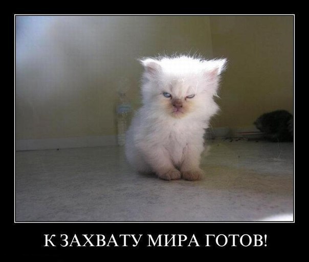 Лелька Лёлька Просто | Петрозаводск