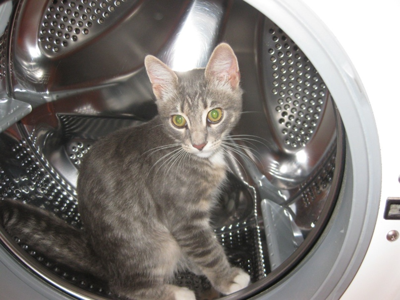 Татьяна Федоренко |