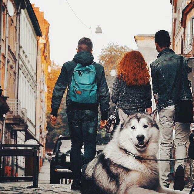 Елена Гуркина | Харьков