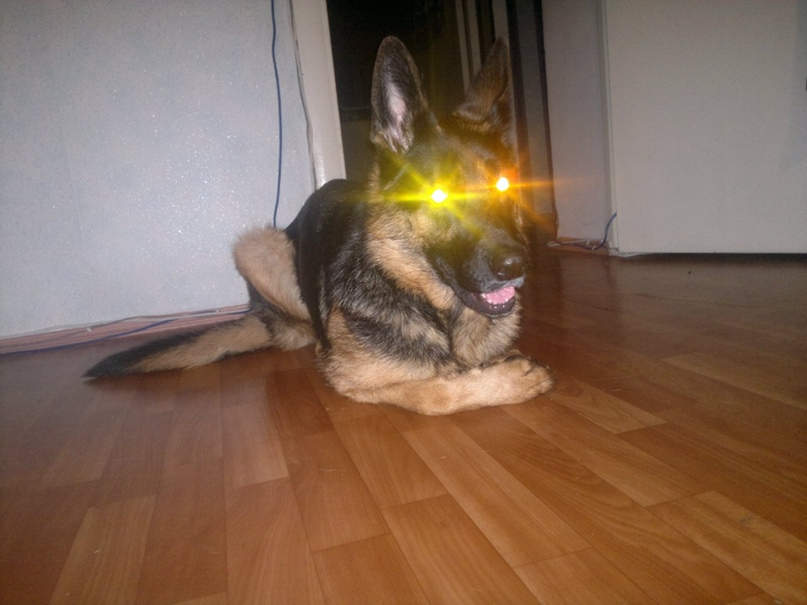 Виталий Гаврилов | Волжский