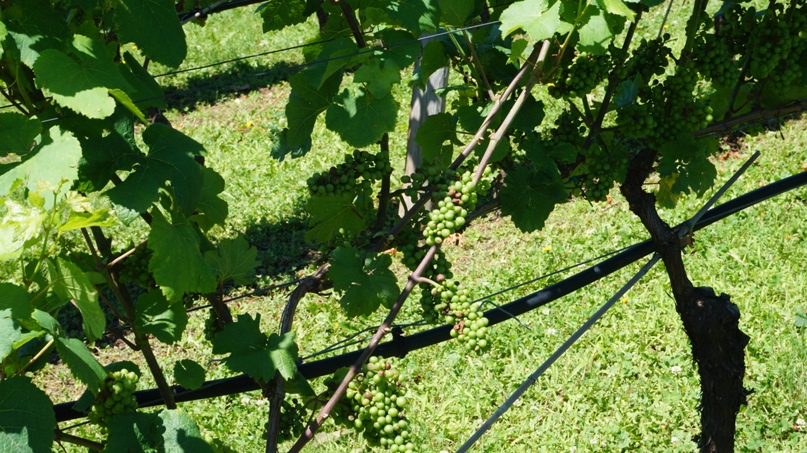 Денис Семикин | Москва