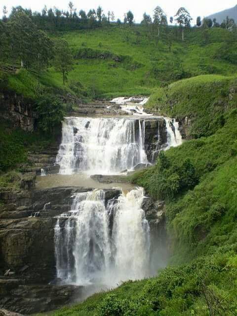Юлия Мусиенко | Киев